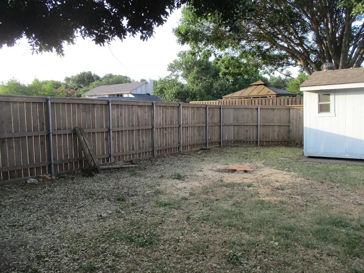 Cleared yard after professional tree removal in Elmo